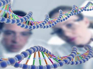 遗传三项基因检测