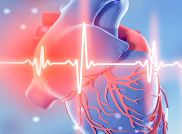 心脑血管用药基因检测