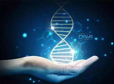 肿瘤微小残留病灶基因检测（MRD）